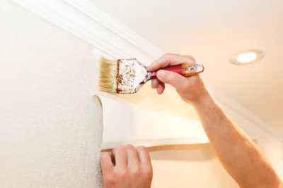 Pose de papier peint à Lapleau — revêtements muraux et toiles de verre